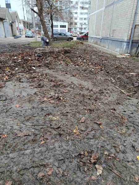 594972248_893305316705605_4735574823169497823_n