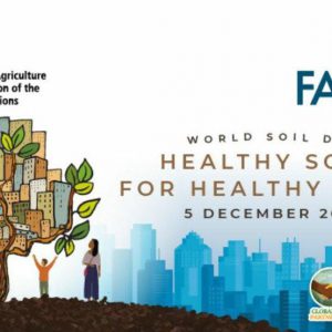 595637233_1298741762282554_7312772604692319120_n