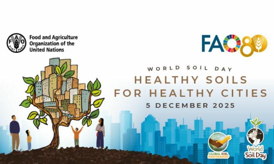 595637233_1298741762282554_7312772604692319120_n