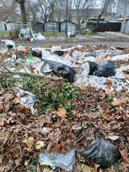 596576006_893305236705613_733141939078593832_n