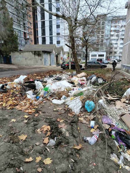 597561582_893305310038939_583981127004839072_n