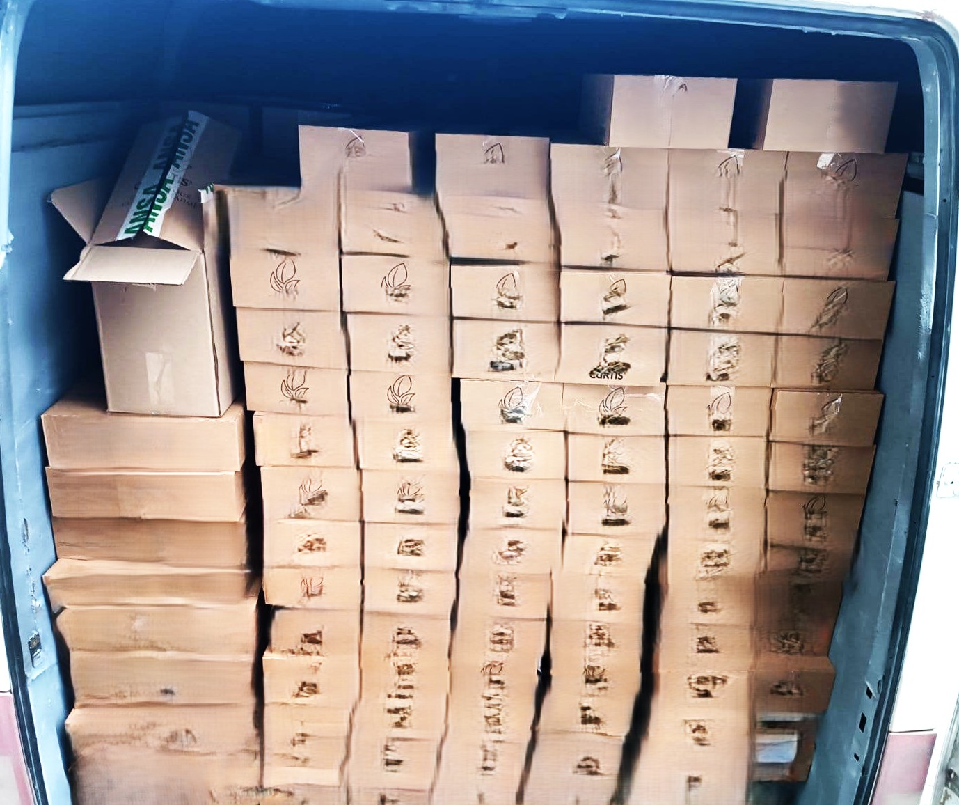 597633765_1153996190242416_6888781761675284591_n