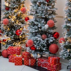 597974944_895838456452291_4343993084228338575_n