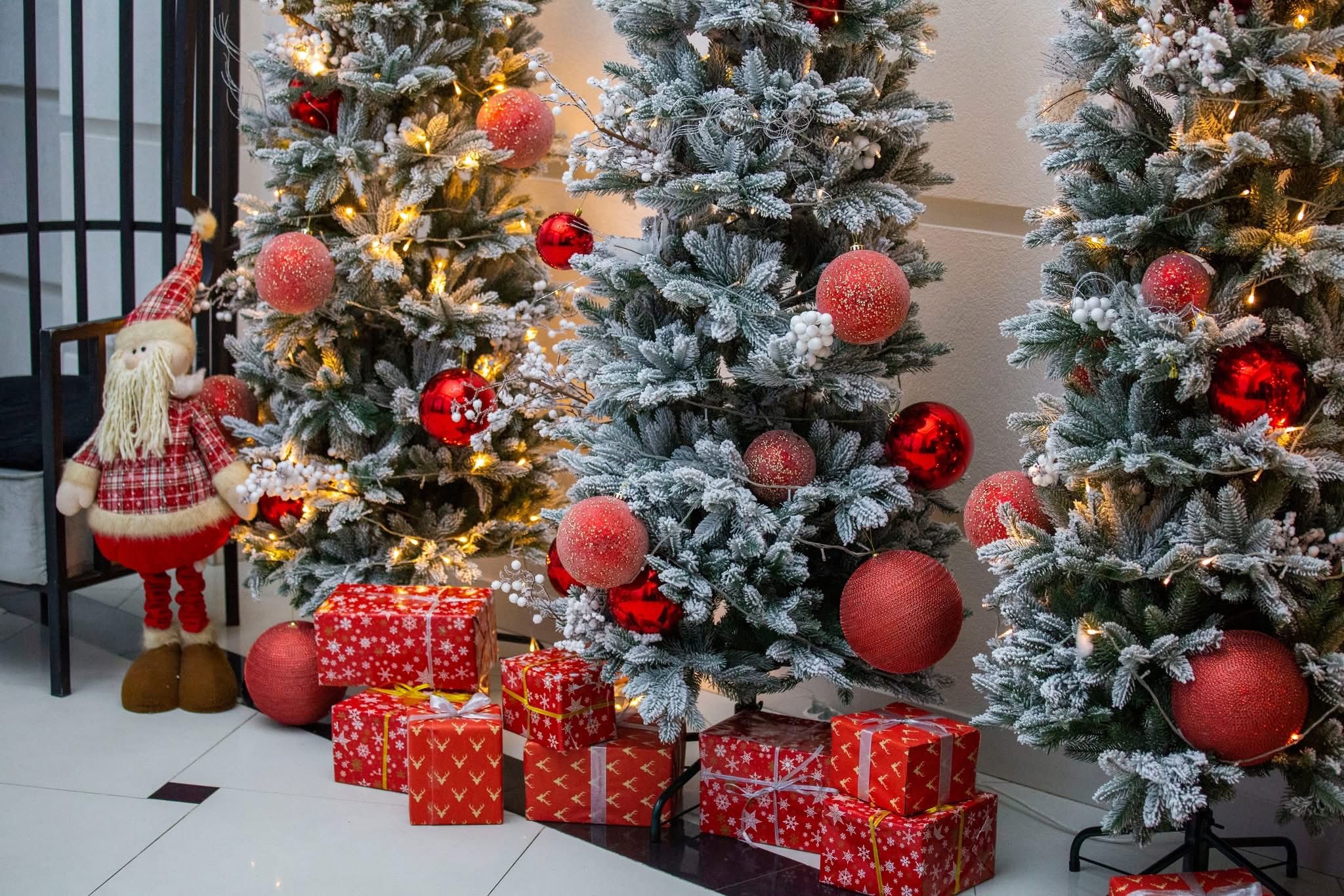 597974944_895838456452291_4343993084228338575_n