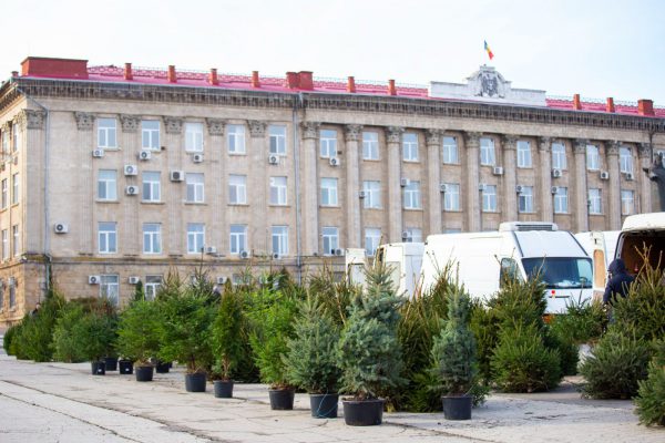 598129009_897361829633287_1546850988114006409_n