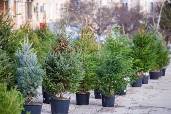 598172205_897361896299947_2345086975330391214_n