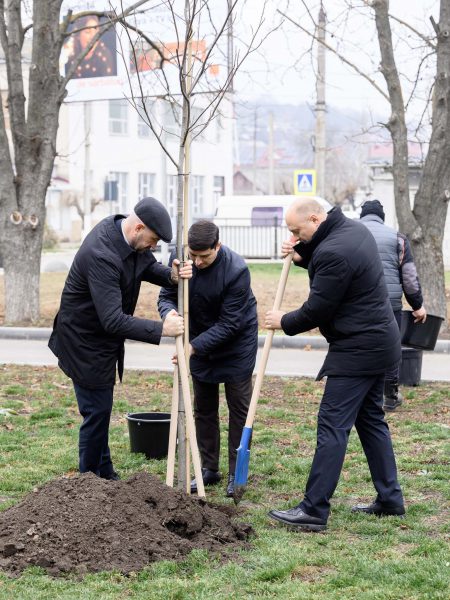 598862857_878434534570749_6999070372192990317_n