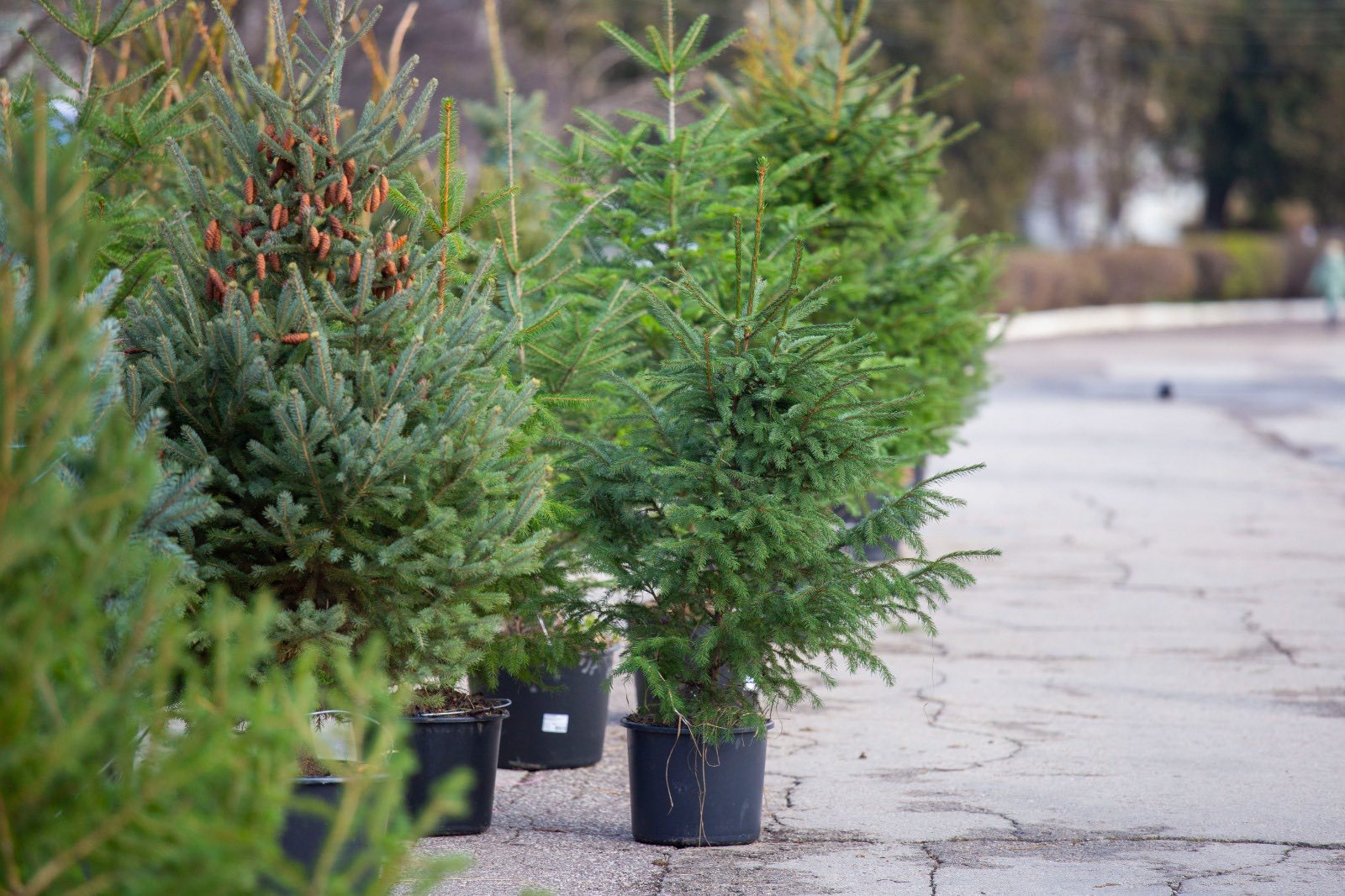 599510235_897361756299961_2495648654933144133_n