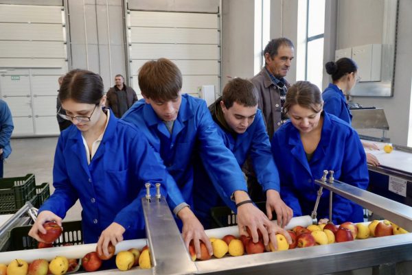 599680610_1307491564740907_7708999454049695486_n