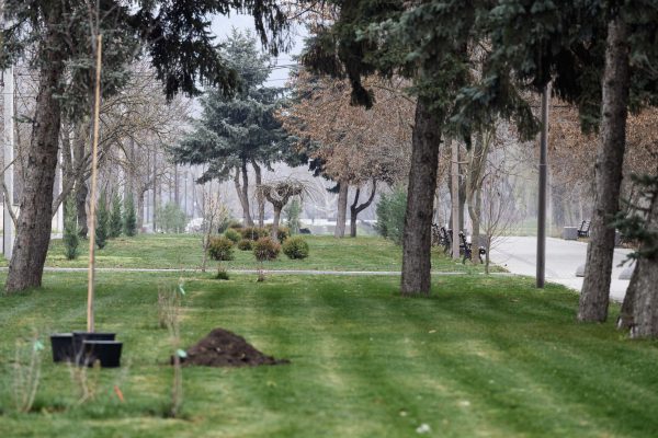 599951455_878434467904089_8982735115747065790_n