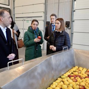 600122473_1307492018074195_8278508416209109809_n