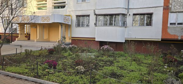 600287830_1254540823386306_9157627466671412845_n