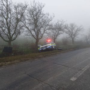 600290090_1306716488165699_5267650385838718199_n