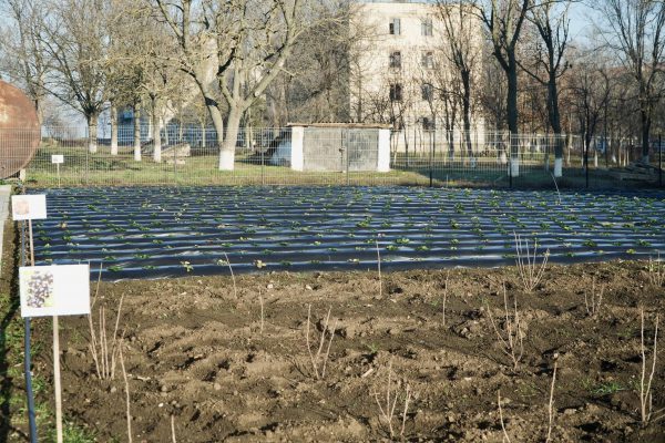 600320989_1307491208074276_8018203522409839873_n