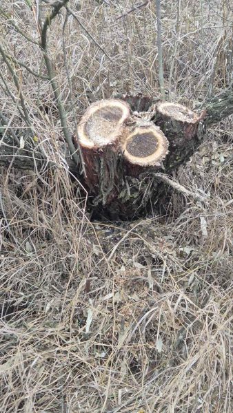 601339258_1162738479364157_3706774648486444193_n