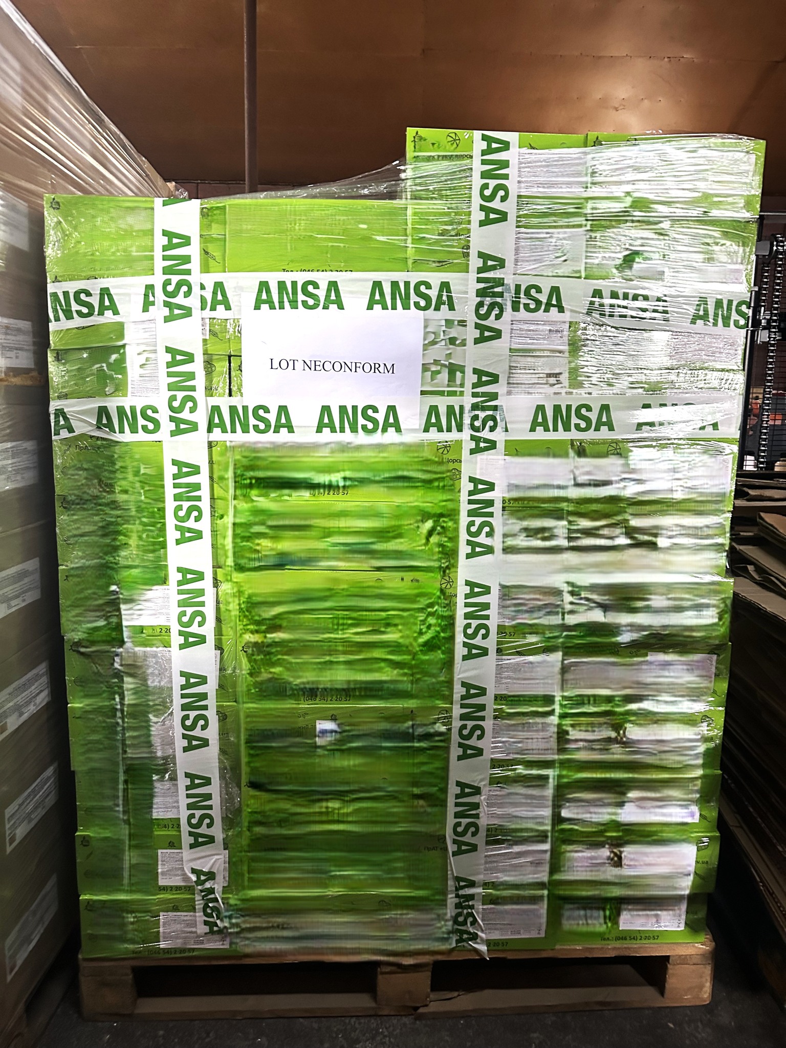 601381412_1160349899607045_2596581007108504847_n