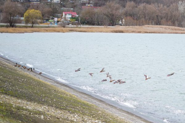 Imagine WhatsApp 2025-12-14 la 19.15.47_a448fc5d