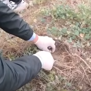 Screenshot 2025-12-03 135423