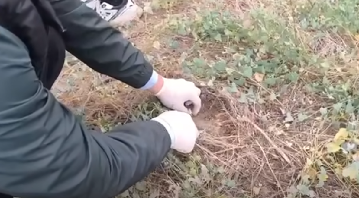 Screenshot 2025-12-03 135423