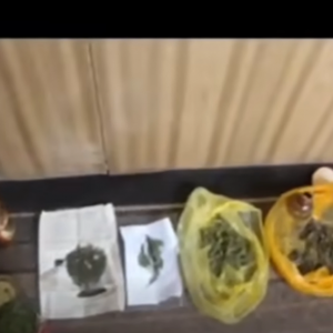 Screenshot 2025-12-04 134500