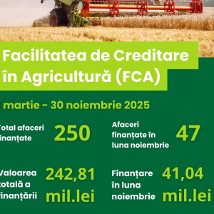 Screenshot 2025-12-05 135920