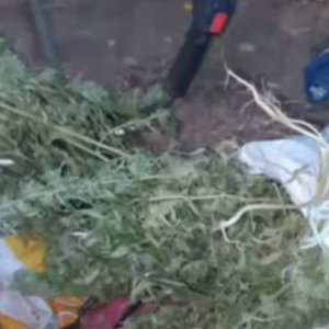 Screenshot 2025-12-08 121243