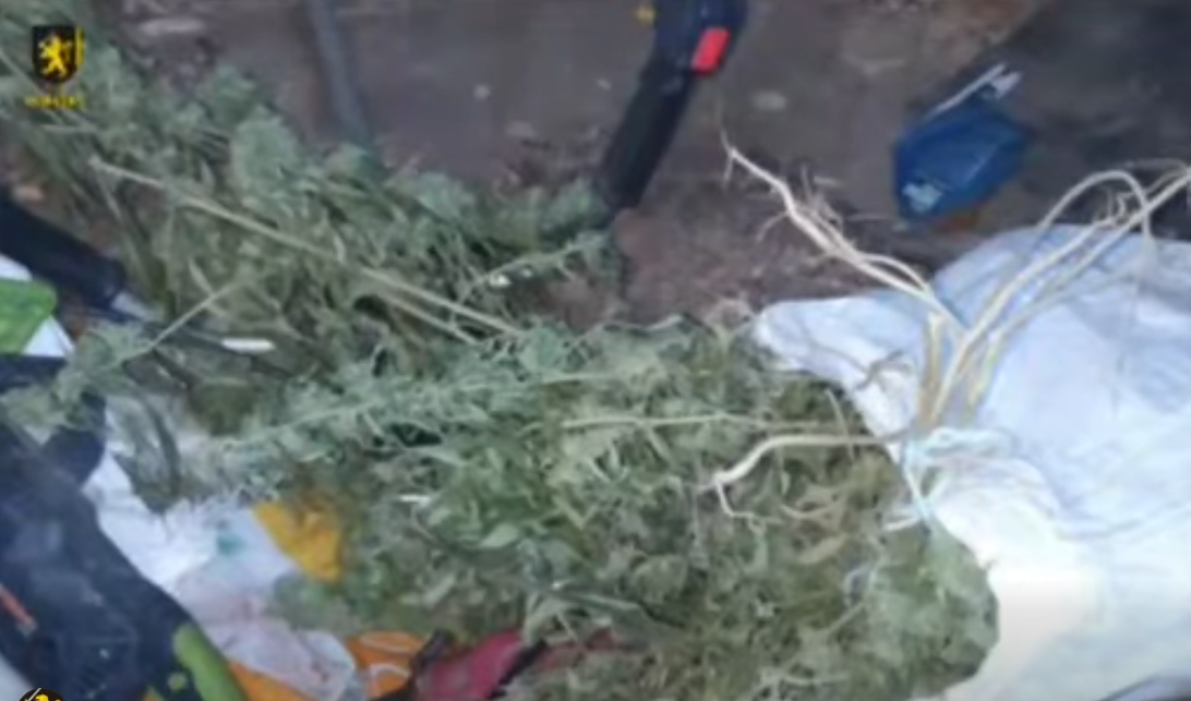 Screenshot 2025-12-08 121243