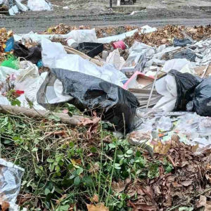 Screenshot 2025-12-10 112503