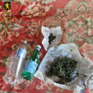 Screenshot 2025-12-11 145659