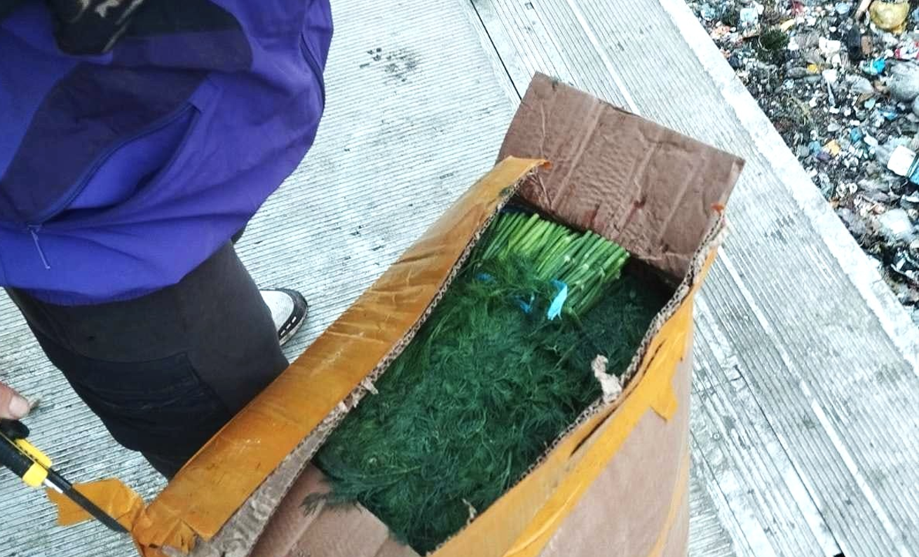 Screenshot 2025-12-12 102916