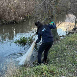 Screenshot 2025-12-15 101829