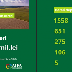 Screenshot 2025-12-15 165451