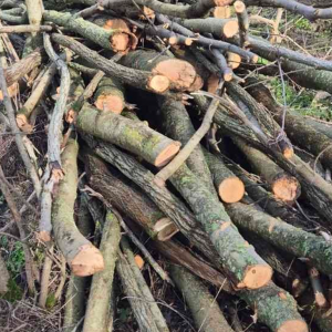 Screenshot 2025-12-16 112040