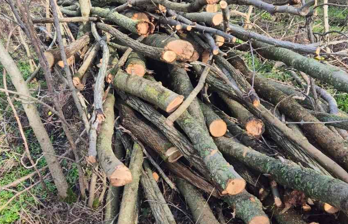 Screenshot 2025-12-16 112040