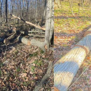 Screenshot 2025-12-16 152752