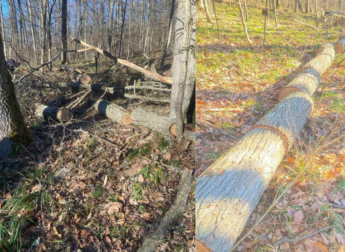 Screenshot 2025-12-16 152752