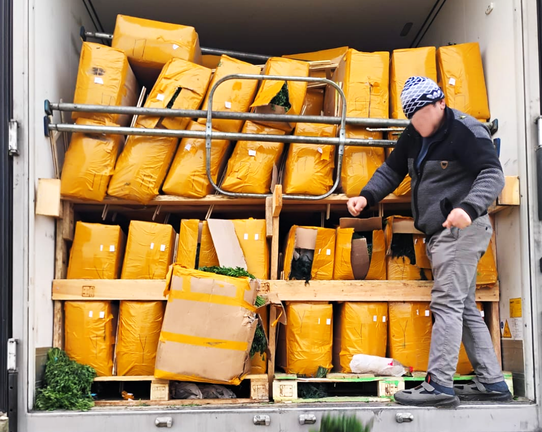 Screenshot 2025-12-19 072445