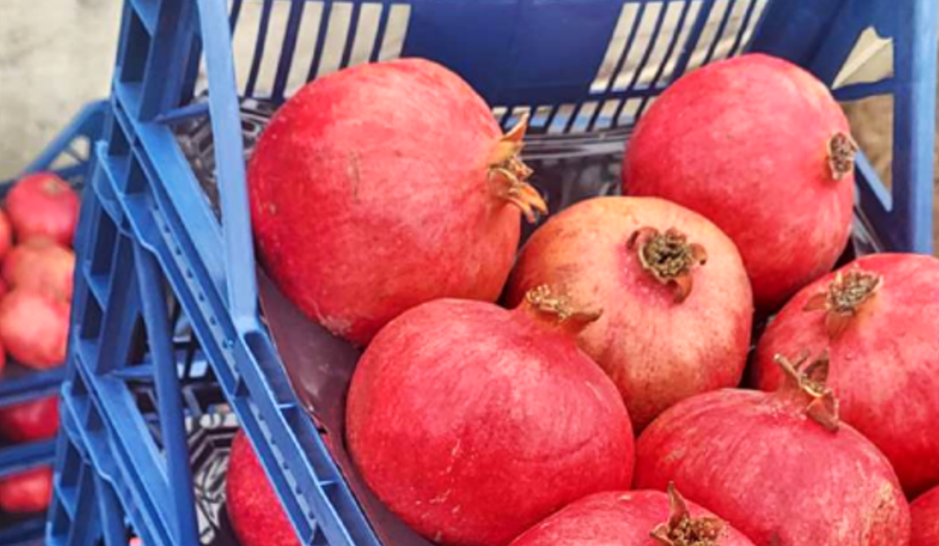 Screenshot 2025-12-30 112427