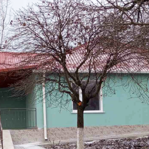 Screenshot 2025-12-30 113020