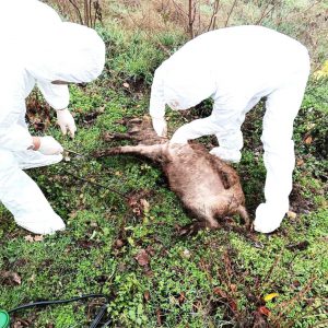 WhatsApp Image 2025-12-03 at 10.49.52_b3e9f73f