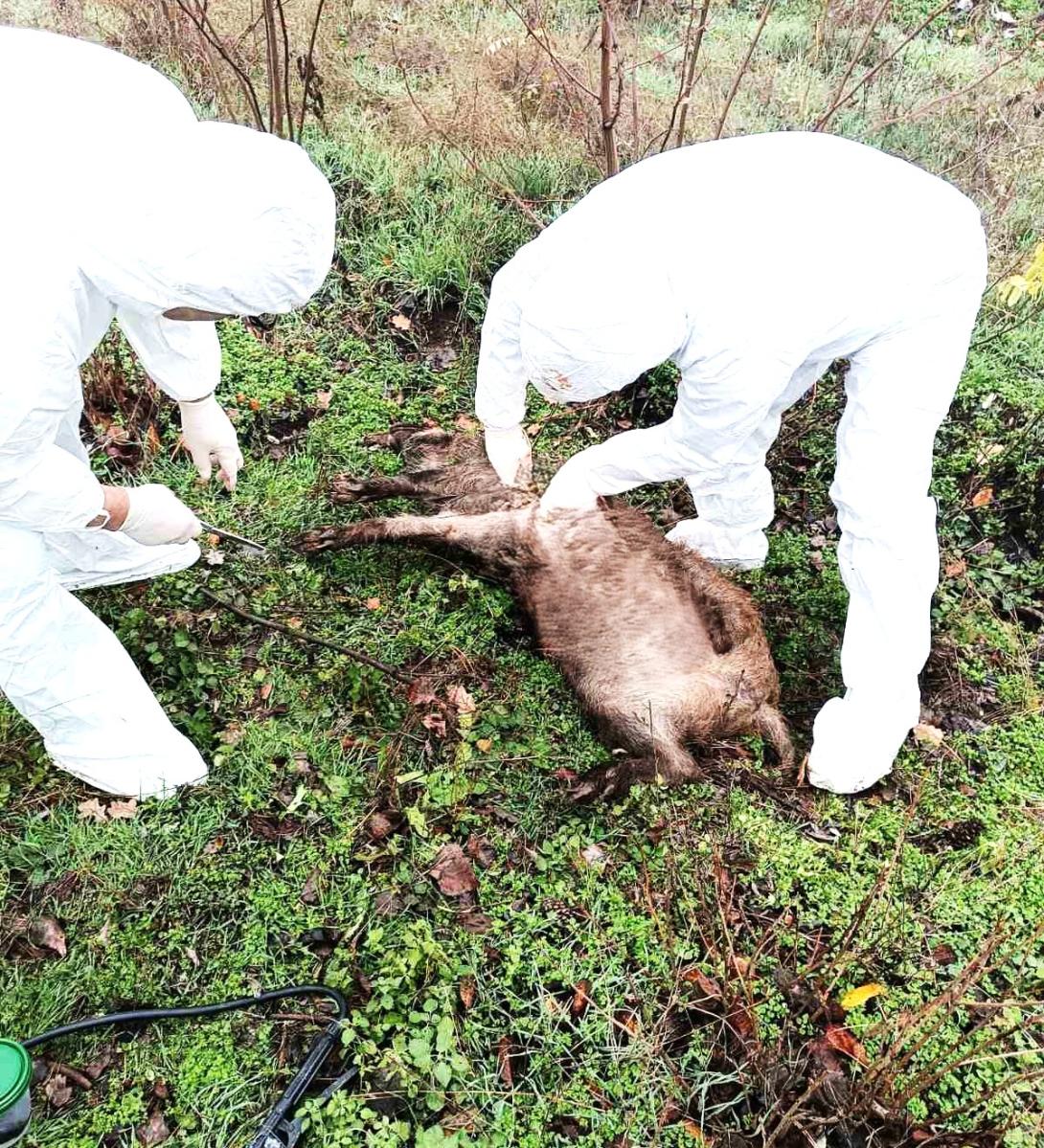 WhatsApp Image 2025-12-03 at 10.49.52_b3e9f73f