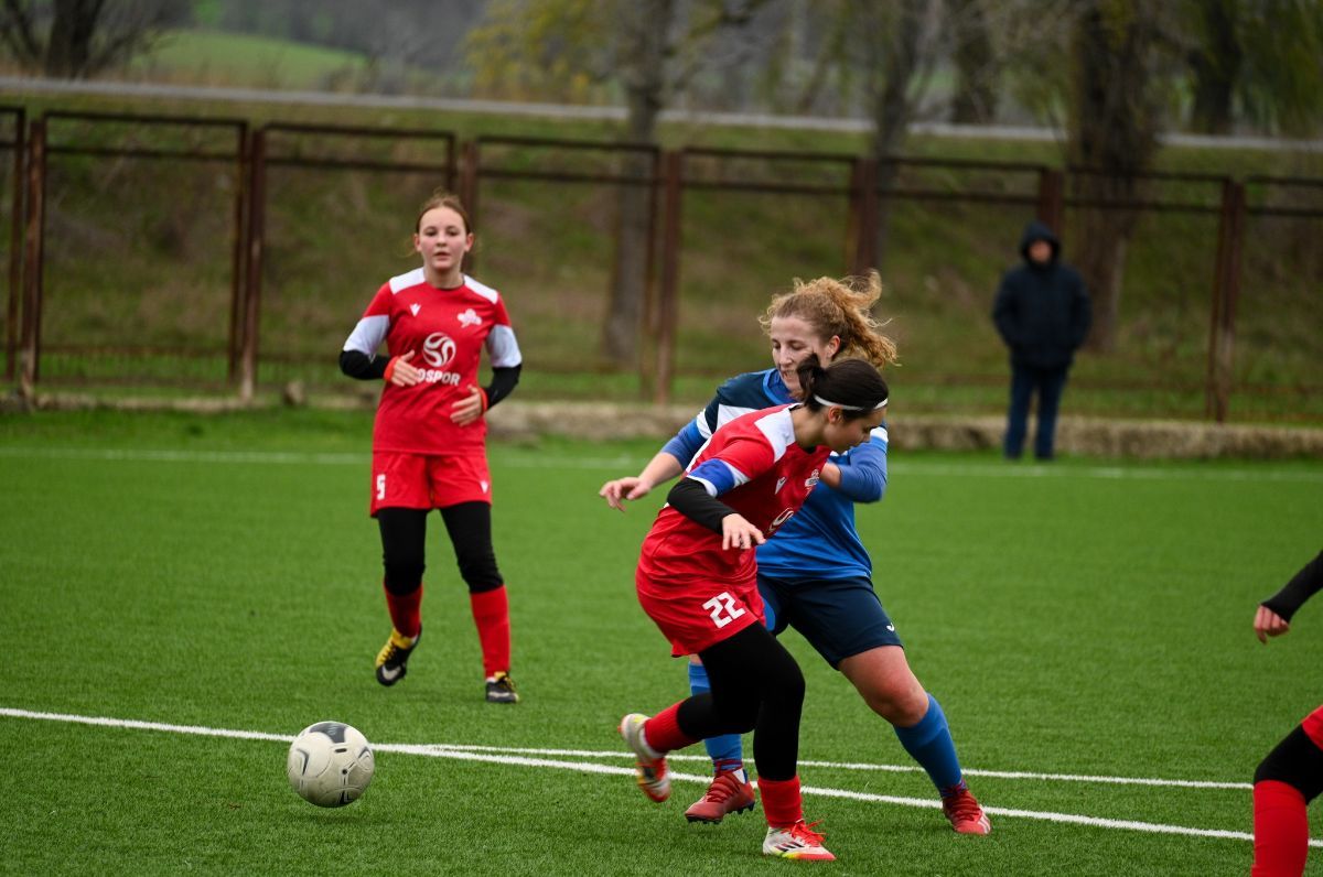 agar-15954-1766063961