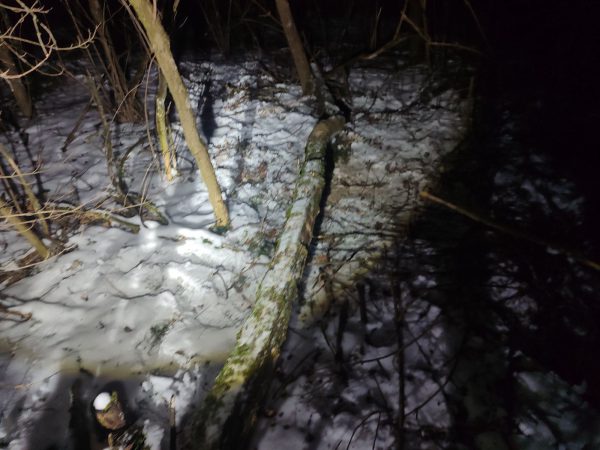 611339526_1176756211295717_1966862439434335659_n