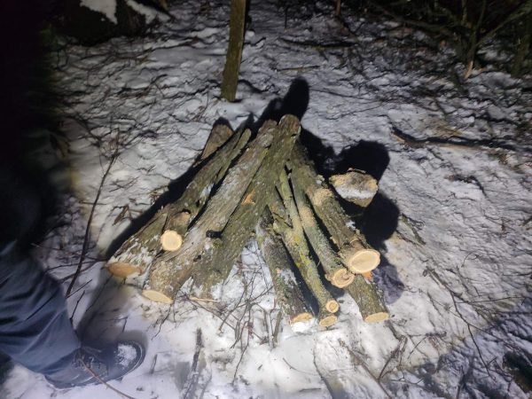 611639092_1176756077962397_226571239201070350_n