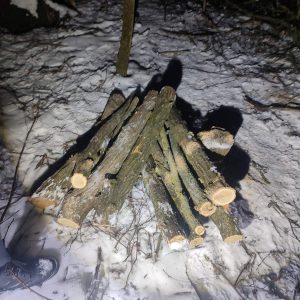 611639092_1176756077962397_226571239201070350_n