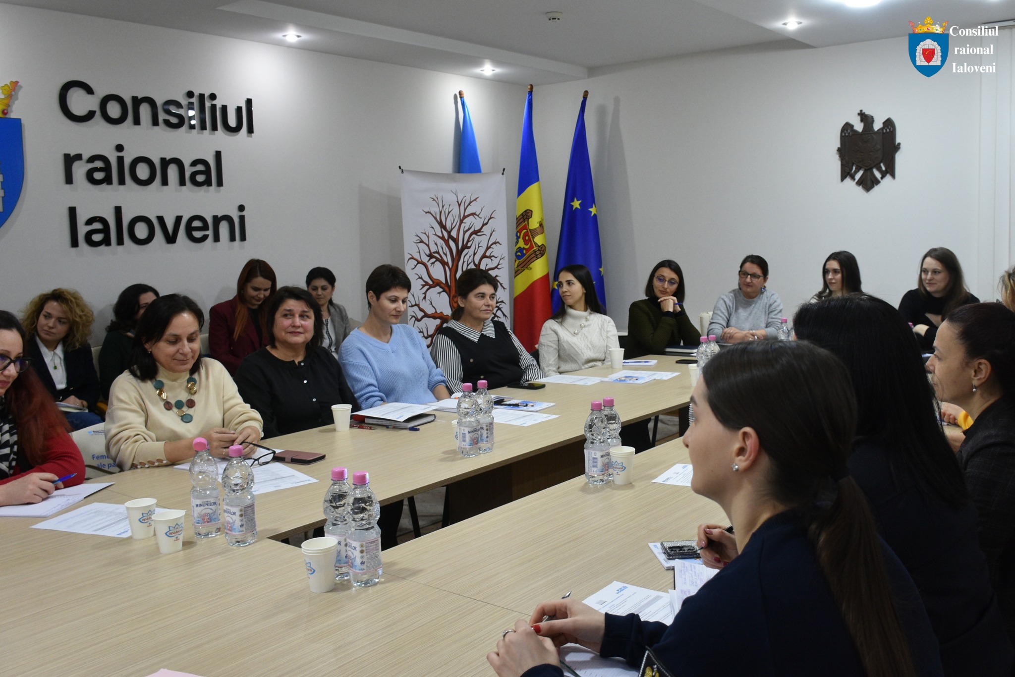 611991217_1725469312109350_8653010560557479703_n