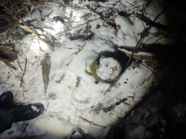 612258038_1176756171295721_6010651809895466344_n