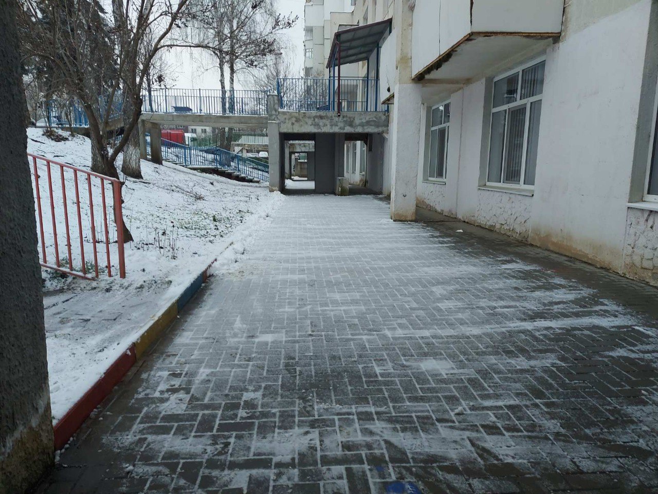 612931885_1303042228527487_6754386000245759436_n