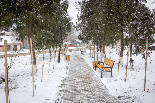 615227013_1203303485285868_7328238710708844626_n