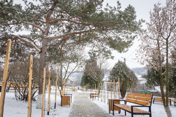 615256115_1203302711952612_2433677166060898859_n